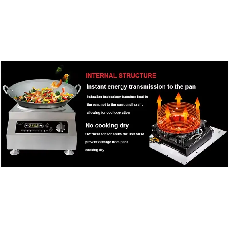 Tragbarer Elektrischer Indukti – Home Cooking Heater Bewertung und Preis