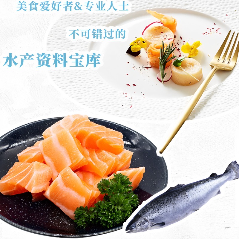 Meeresfrüchte-Kochbuch DK 300  – Home Cooking Recipes Bewertung und Preis